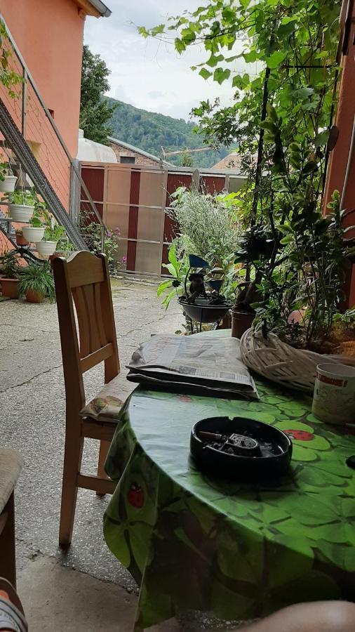 Pension Im Glueck Thale Esterno foto