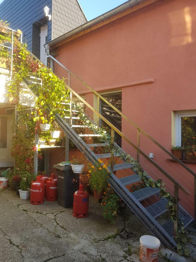 Pension Im Glueck Thale Esterno foto
