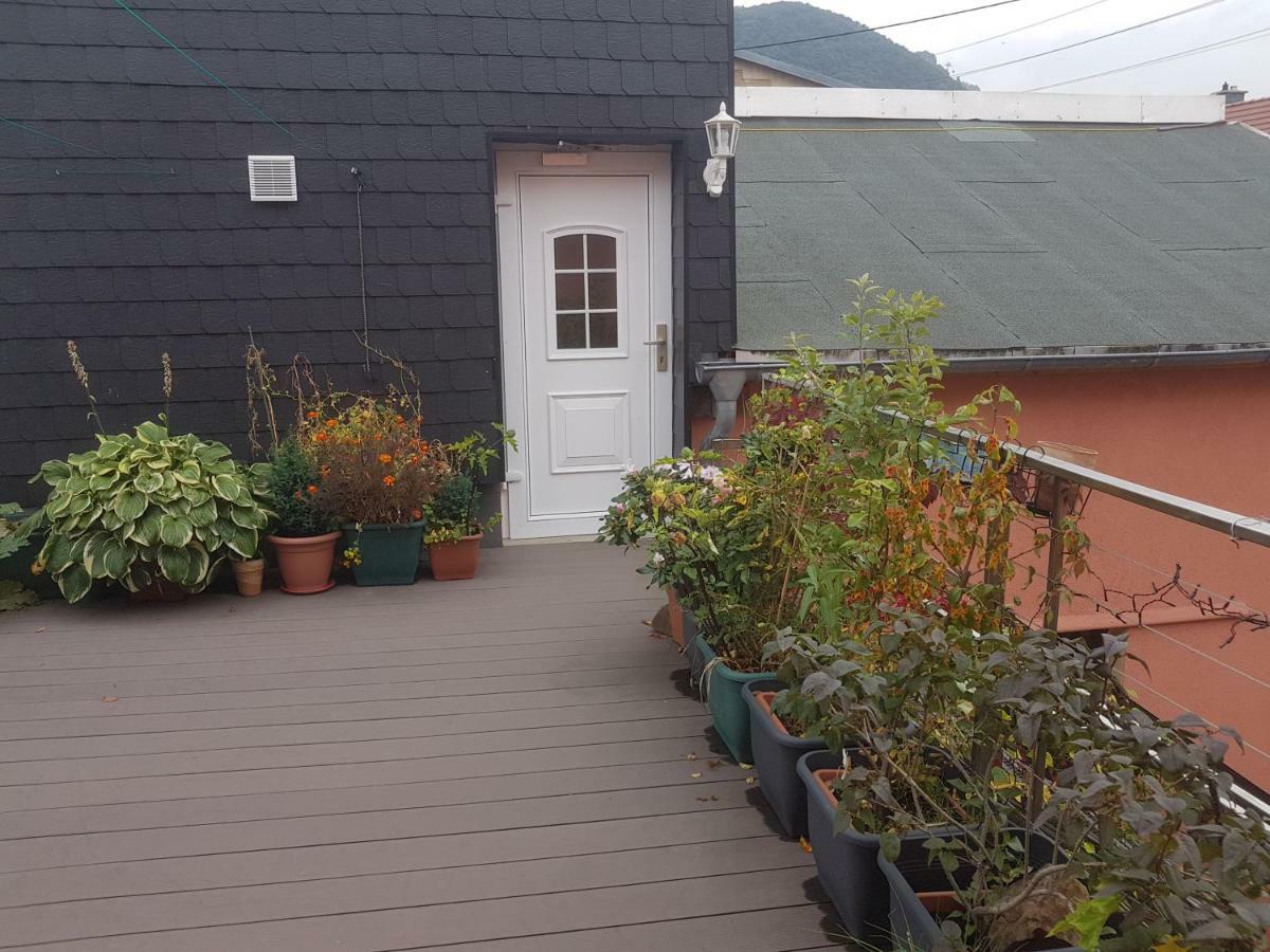 Pension Im Glueck Thale Esterno foto